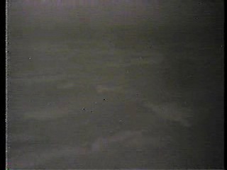 Salty,  Tales of the Gold Monkey,