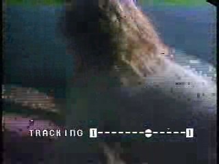 Murder Me Murder You, Tuckers Witch