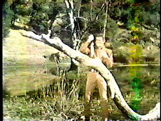 The Big Valley,  She's in the Army Now