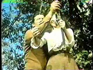 The Big Valley,  She's in the Army Now