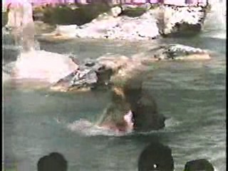 Magnum P.I.,  Gidget Goes to Rome