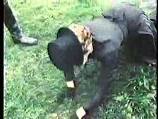 The Irish R.M.,   The Truth About Spring