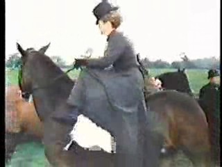 The Irish R.M.,   The Truth About Spring