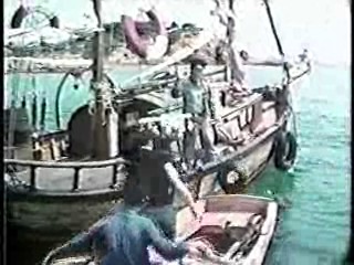 The Irish R.M.,   The Truth About Spring