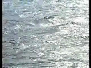 Hardcastle & McCormick,  Knight Rider,