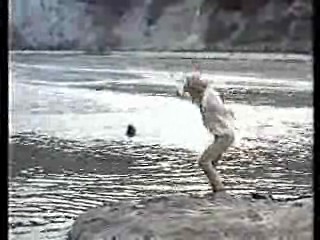 Hardcastle & McCormick,  Knight Rider,