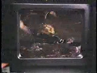 Hardcastle & McCormick,  Knight Rider,