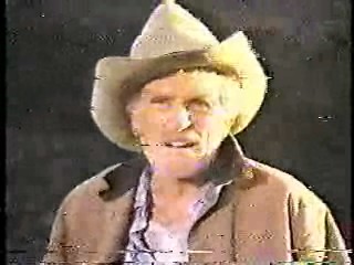 Hardcastle & McCormick,  Knight Rider,