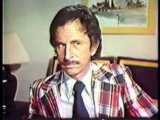 The Love Boat - the movie