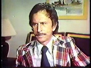 The Love Boat - the movie