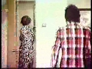 The Love Boat - the movie