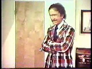 The Love Boat - the movie