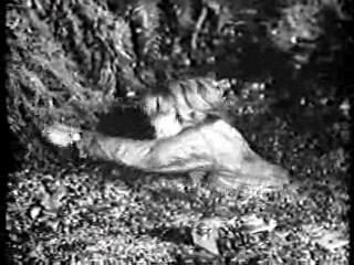 Saturday Night Live,  Tarzan's Hidden Jungle