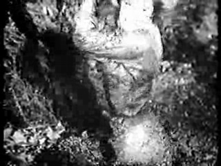 Saturday Night Live,  Tarzan's Hidden Jungle