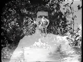 Saturday Night Live,  Tarzan's Hidden Jungle