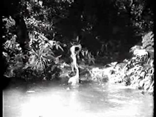 Saturday Night Live,  Tarzan's Hidden Jungle