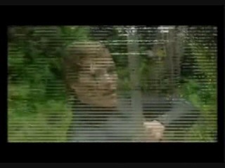 I'm A Celbrity (Get Me Out Of Here) 2008