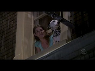 How I Met Your Mother