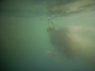 Carl Orff - Carmina Burana