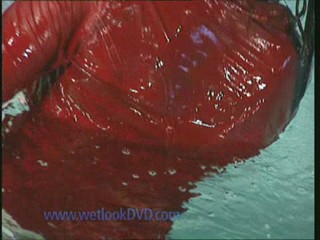 trailer into the water part 7