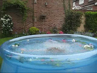 Wetmar White and Pink Movie