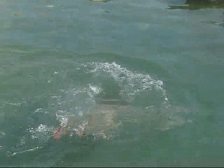 Wetmar swimming in black underwear in Cyprus