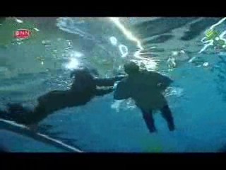 Katja versus de rest