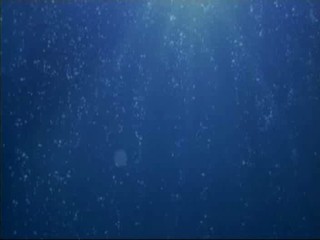 Voeslauer commercial