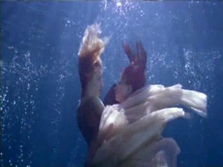 Voeslauer commercial