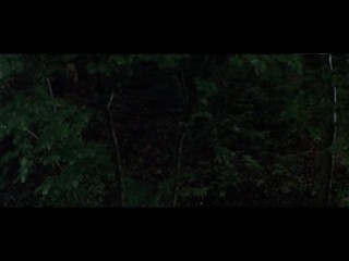 Wer frÃ¼her stirbt ist lÃ¤nger tot