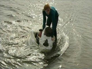 Sea Diablos (season 3)