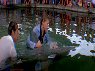 Jaws 3