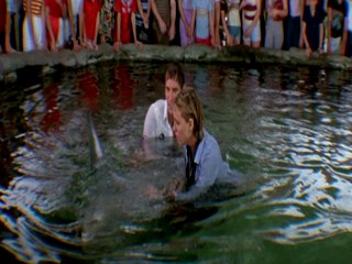 Jaws 3