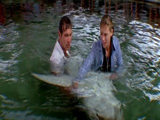Jaws 3