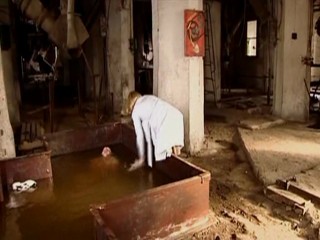 Seven Wives of One Bachelor