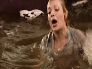 Seven Wives of One Bachelor