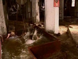 Seven Wives of One Bachelor