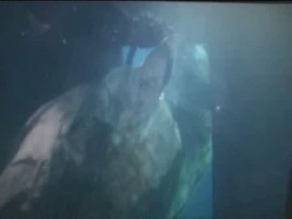 Miss Congeniality 2: Armed and Fabulous