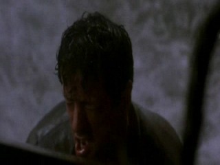 Daylight (wet scene 2)