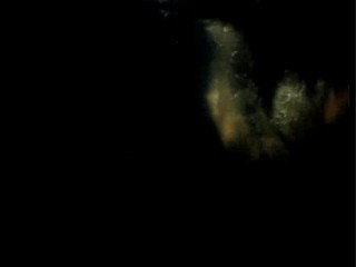 Operation Kooperation