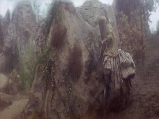 The Taming of the Shrew