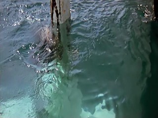 Crown of Russian Imperia