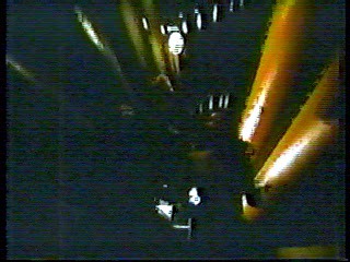 The Monitors,  Swamp Buggy Queen Dunking