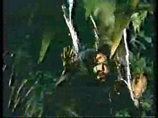 The Monitors,  Swamp Buggy Queen Dunking