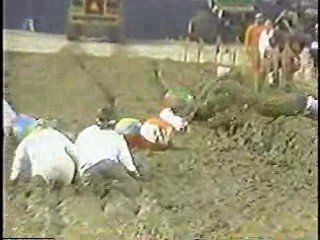 Out of Control,  U.S. comedy,  The Ultimate Sin,  ESPN Sports