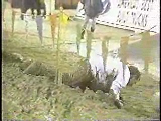 Out of Control,  U.S. comedy,  The Ultimate Sin,  ESPN Sports