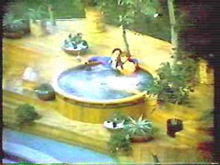 Country Music Video,  Middle Age Crazy,  Guinness Records