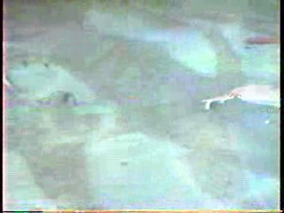 Anything For Money,  3 Women