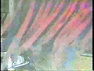 Anything For Money,  SCTV,   Swamp Buggy Beauty Queen Dunks (2),  The 3 Stooges