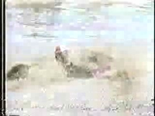 Anything For Money,  SCTV,   Swamp Buggy Beauty Queen Dunks (2),  The 3 Stooges